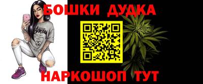 сатива Можга